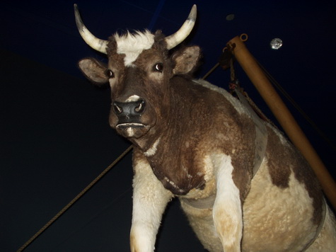 Ttwister på museum Ttwister på museum